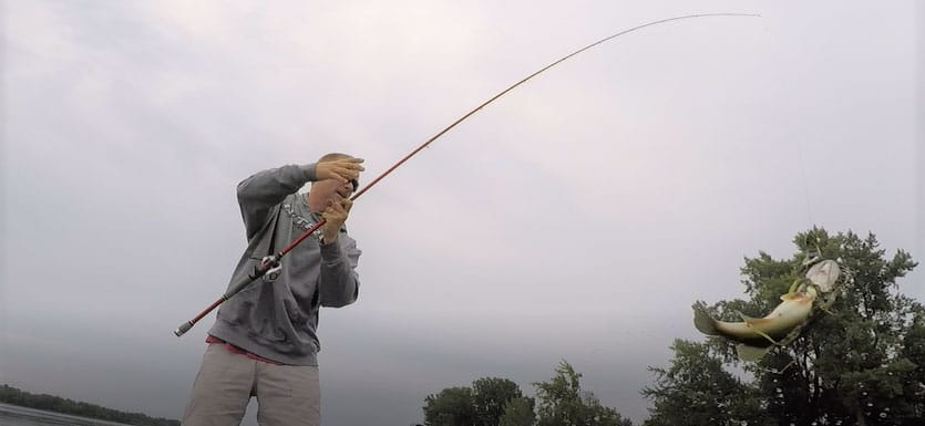 frog fishing tips